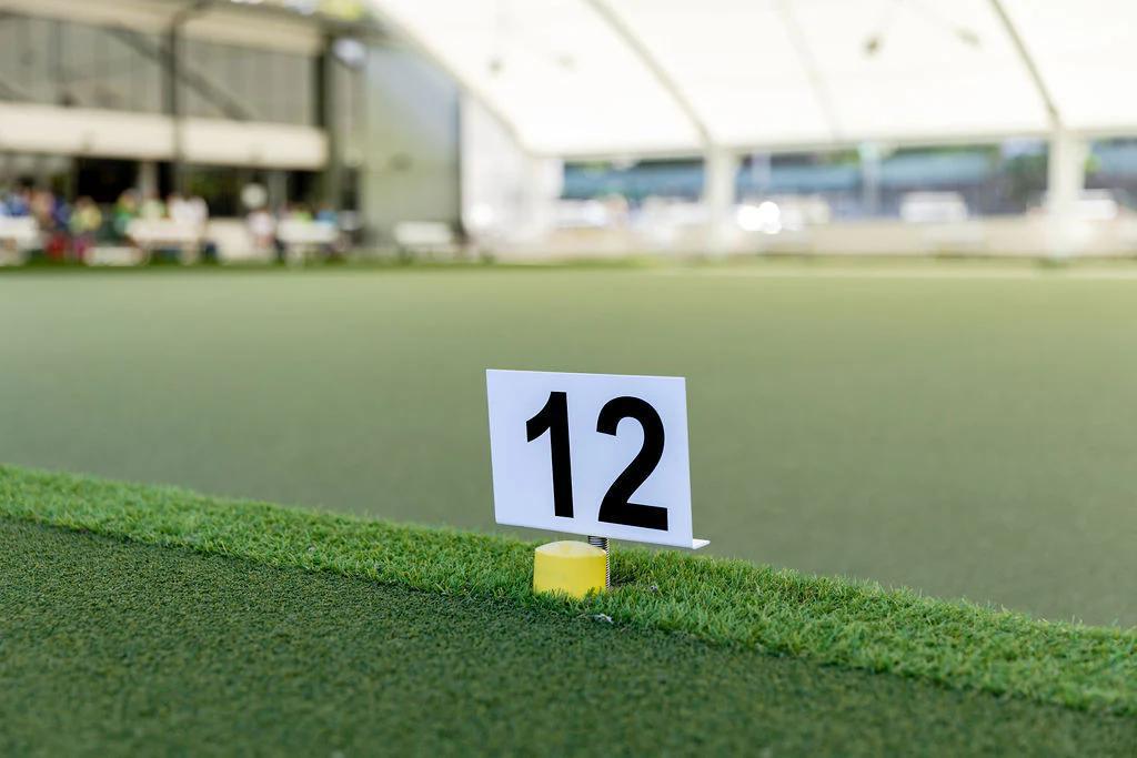 Rink Numbers - Double Digits